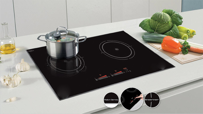 một số loại bếp từ thông dụng nhất
